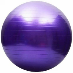 Dream Duffel Mad Ally Exercise Ball