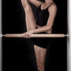 Gifts The Demi Barre