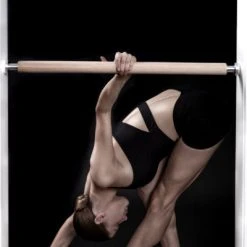 Gifts The Demi Barre