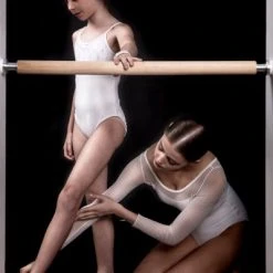 Gifts The Demi Barre