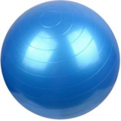 Dream Duffel Mad Ally Exercise Ball